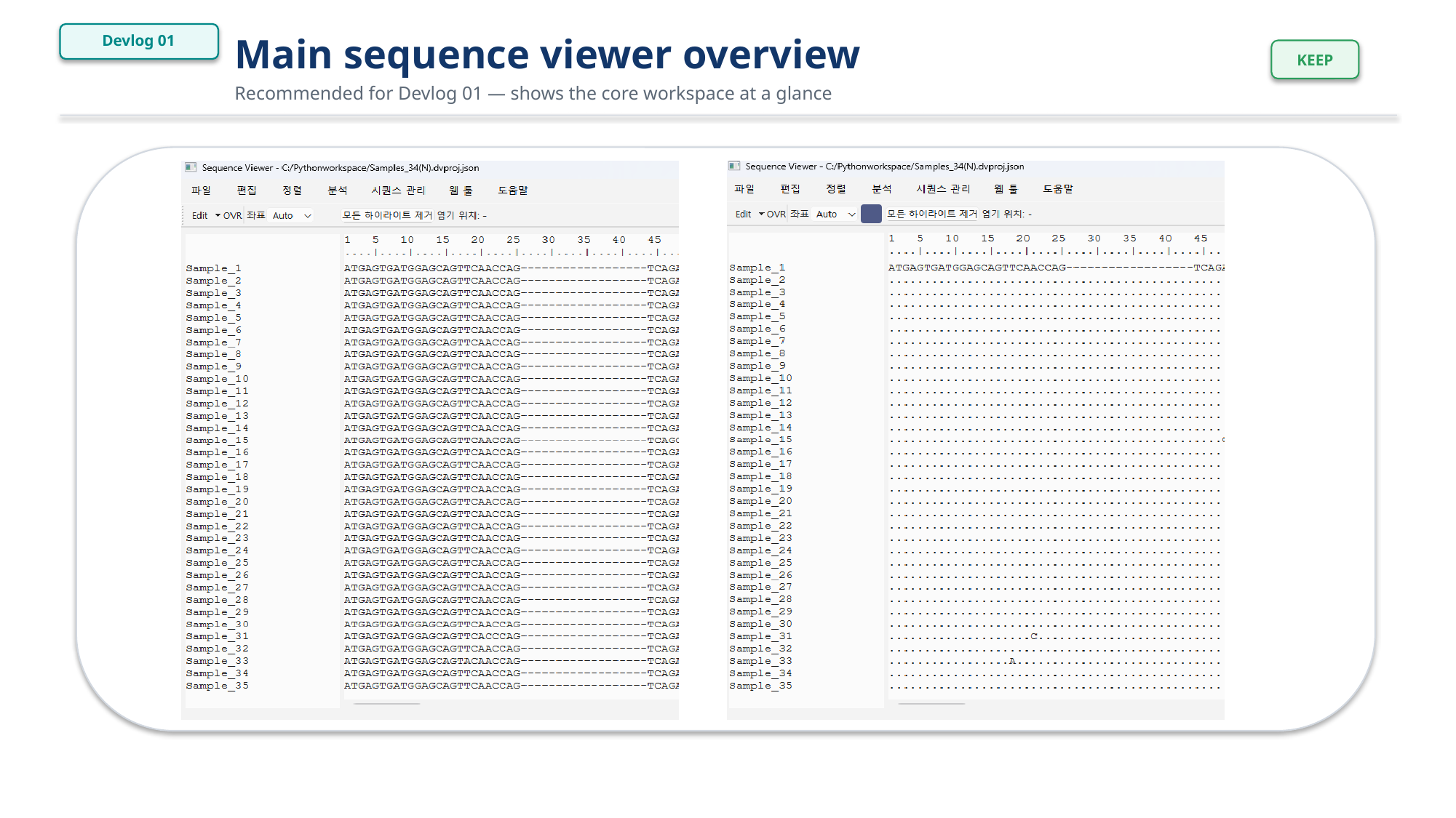 Main sequence viewer overview